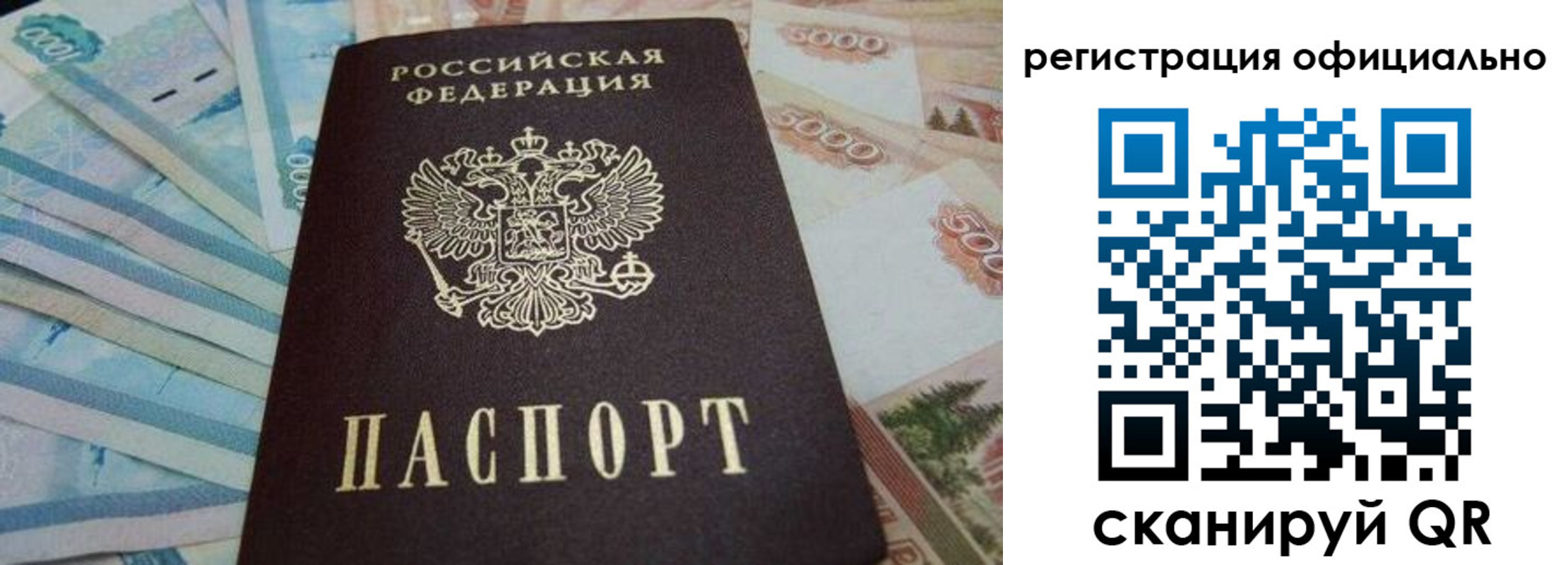 пропишу в квартире в Палласовке
